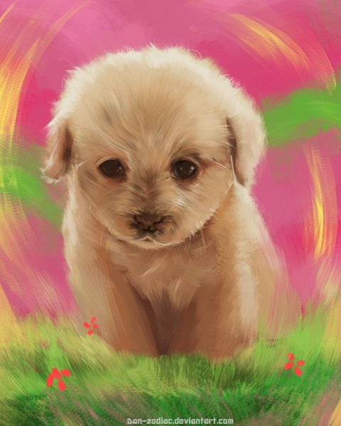 Милые собачки