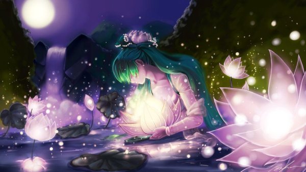 Лотос под луной