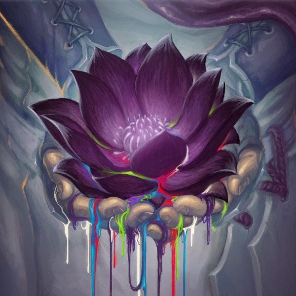 Черный Лотус цветок