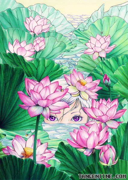 Озеро с лотосами рисунок