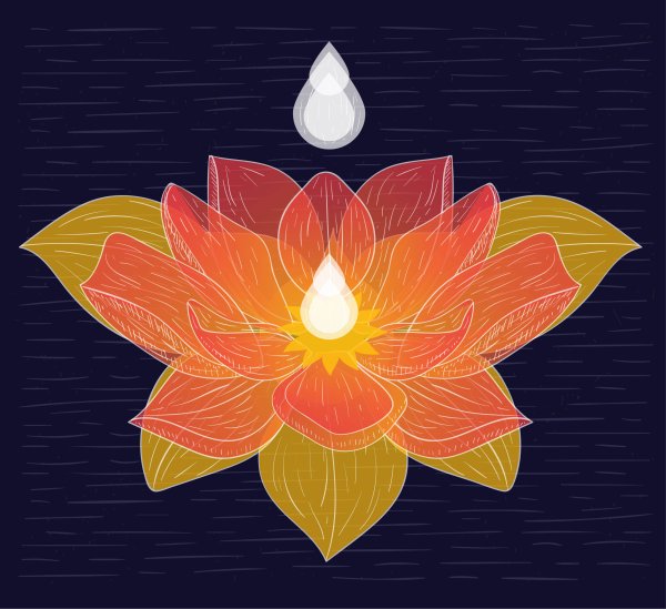 Цветок лотоса арт