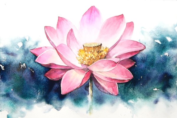 Лотос акварель