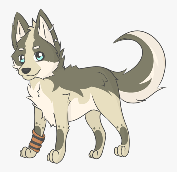 Хаски Воители