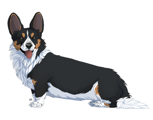 Корги кардиган арт