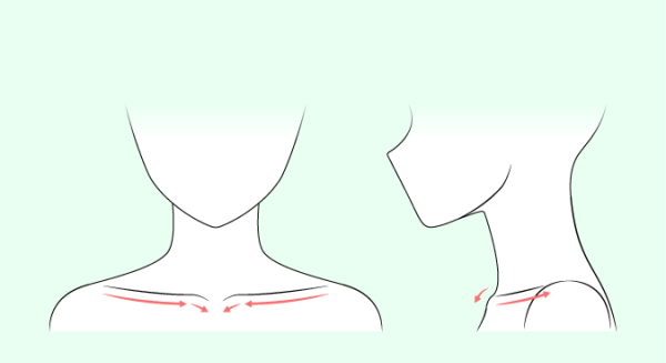 Рисование шеи