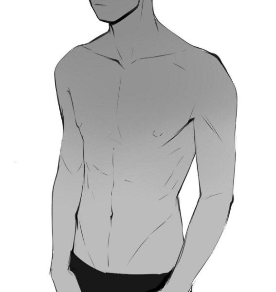 Торс референс