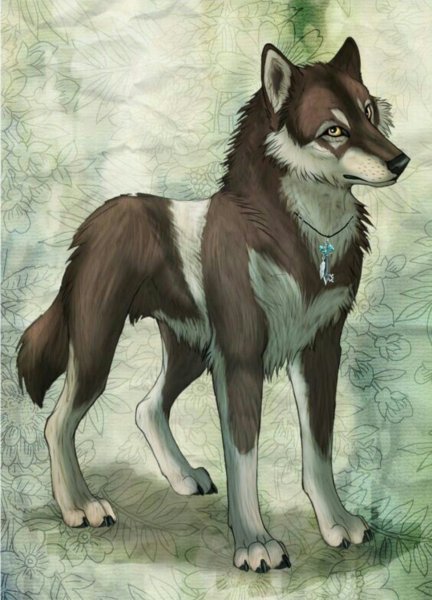 Коричневый волк аниме