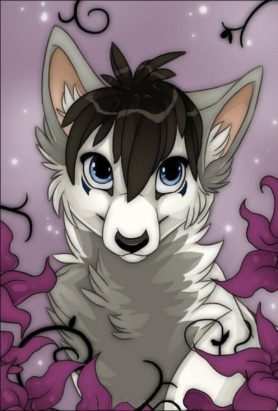 Красивые мультяшные волки