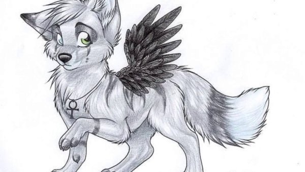 Рисунки для срисовки Волчонок