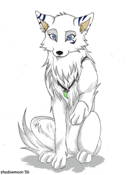 Волк для срисовки