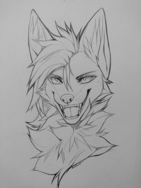 Рисунки фурри для срисовки