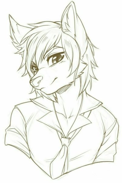 Наброски для рисования фурри