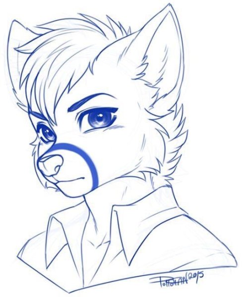 Наброски персов