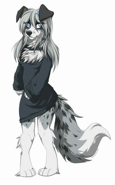 Модель фурри для рисования