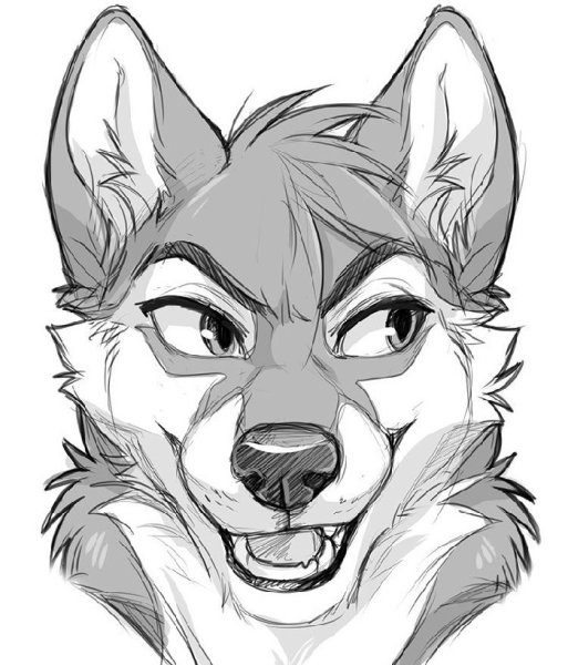 Фурри Лис Кицунэ