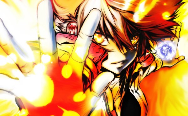 Katekyo Hitman Reborn Савада Тсунаёши