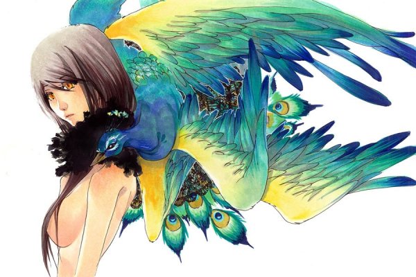 Аниме птица