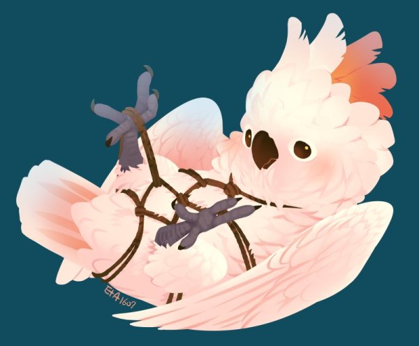 Милые птички арт