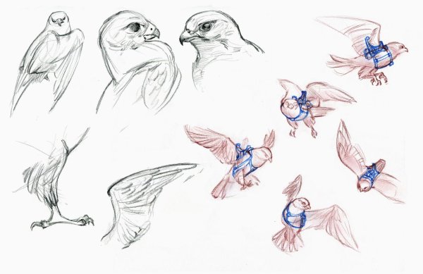 Птичка туториал