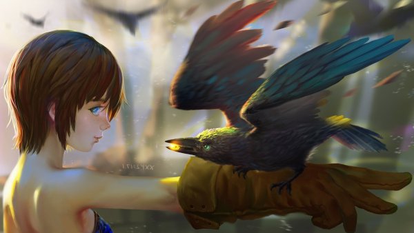 Аниме девушка с вороном