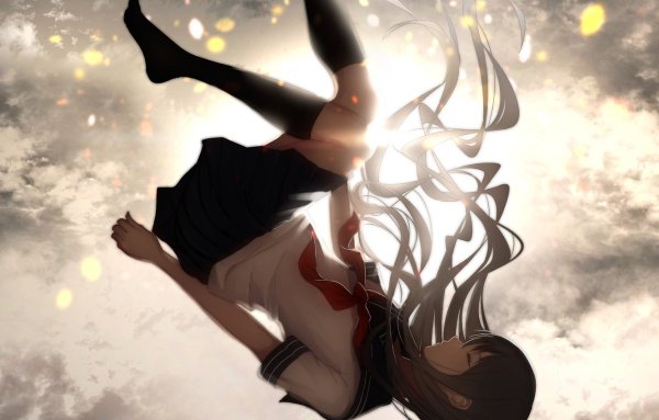 YCH С крыльями