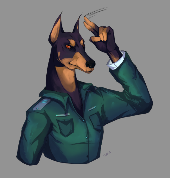 Доберман пинчер референсы