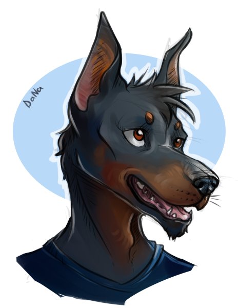 Доберман пинчер референсы