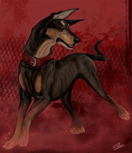 Доберман Адская собака