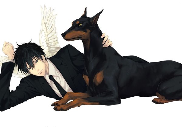 Герхард Шюлер Доберман