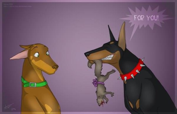 Доберман хуманизация