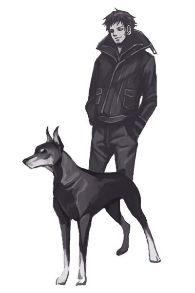 Доберман Джессика Юри