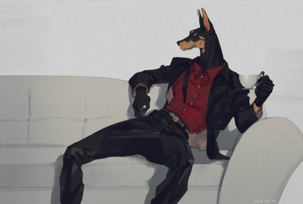 Референс собаки Доберман