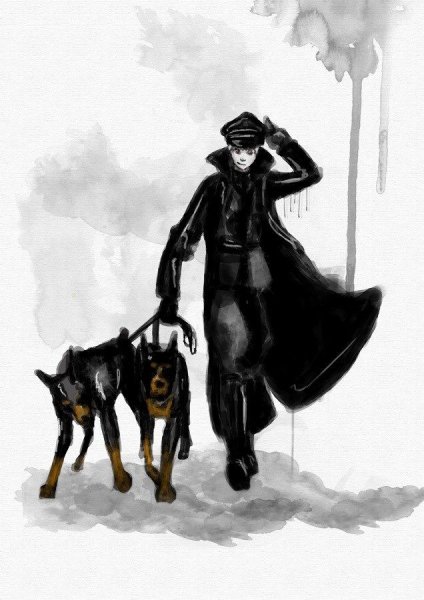 Доберман арт STS