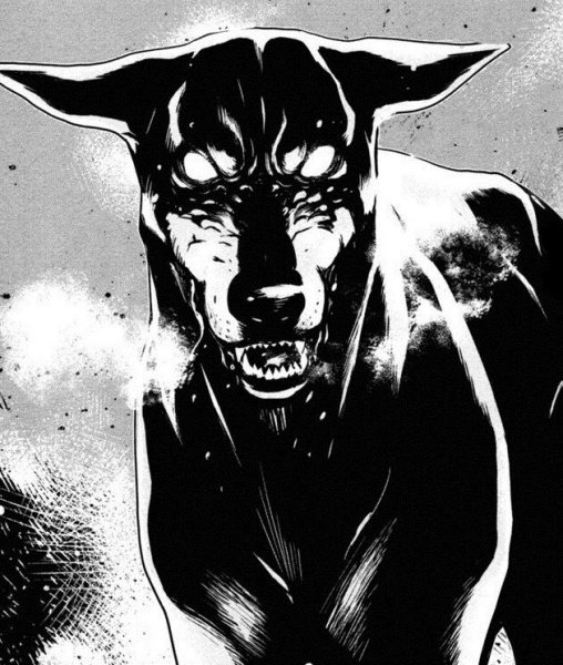 Доберман злой