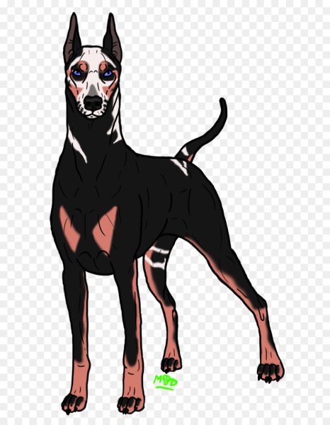 Аниме собаки Доберман