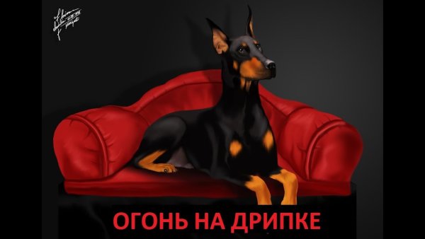 Аниме девушка с доберманом