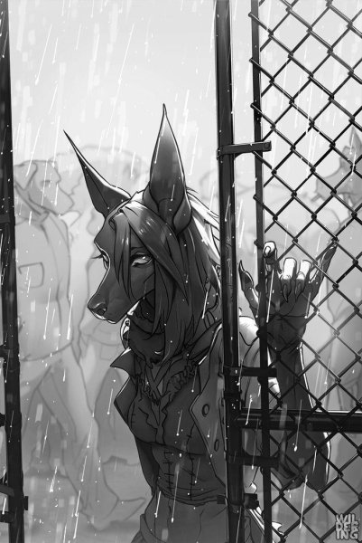 Доберман аниме человек