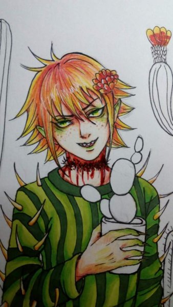 Кактус хуманизация аниме