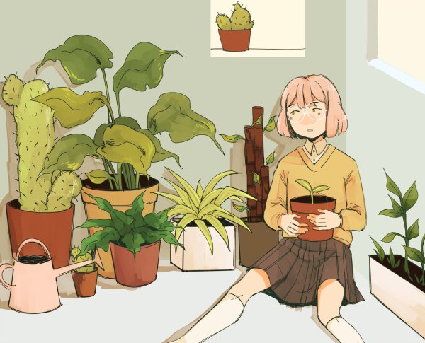 Аниме Кактус