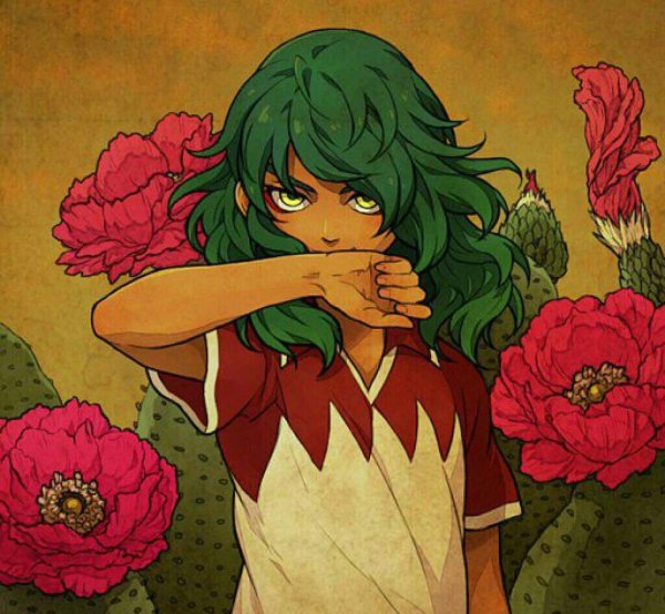 Кактус арт хуманизация