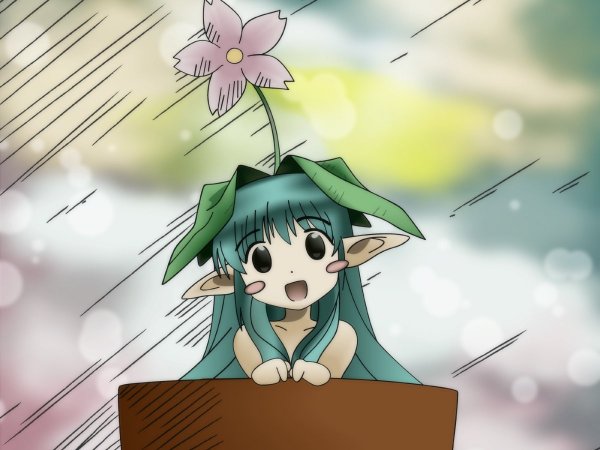 Няшный Кактус аниме