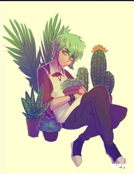 Аниме Кактус