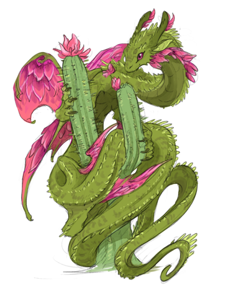 Кактус дракон