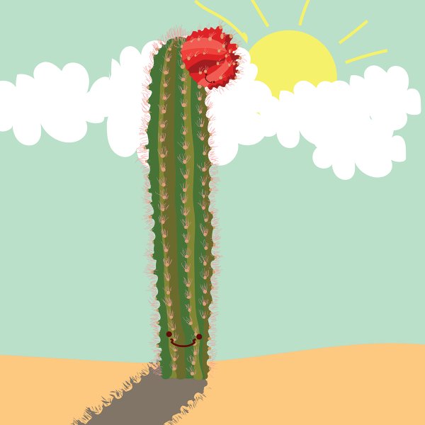Кактус иллюстратор