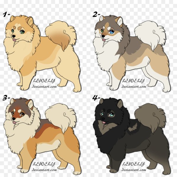 Померанский шпиц референс