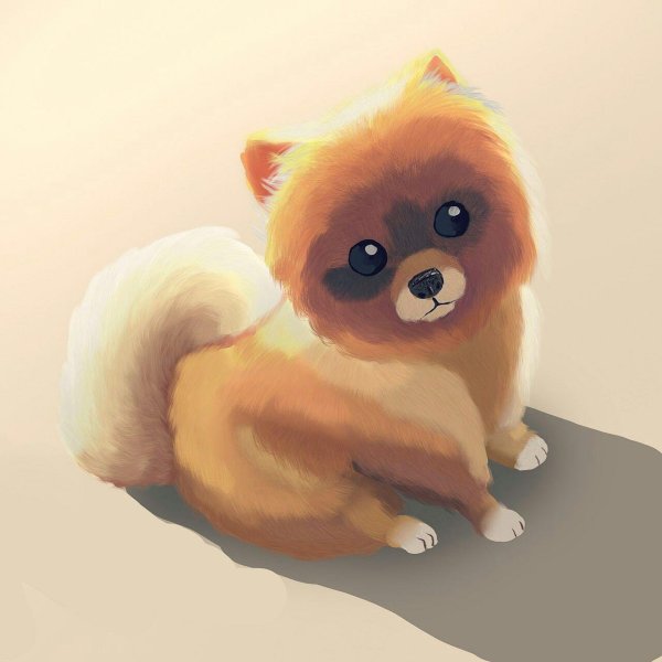 Померанский шпиц арт