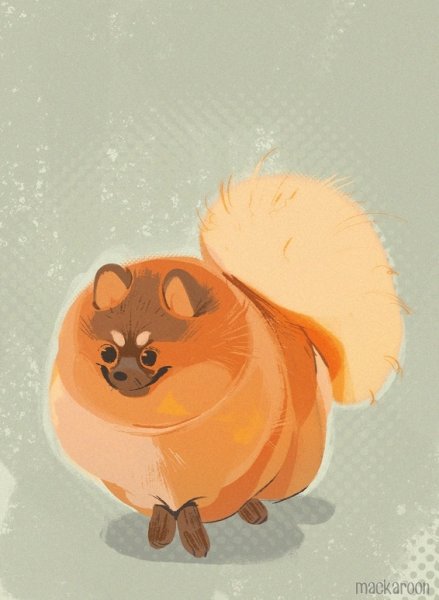 Померанский шпиц арт