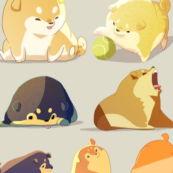 Шпиц референс