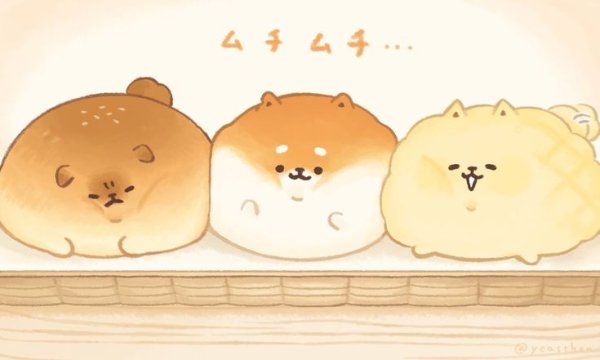 Милые Каваи Шпицы