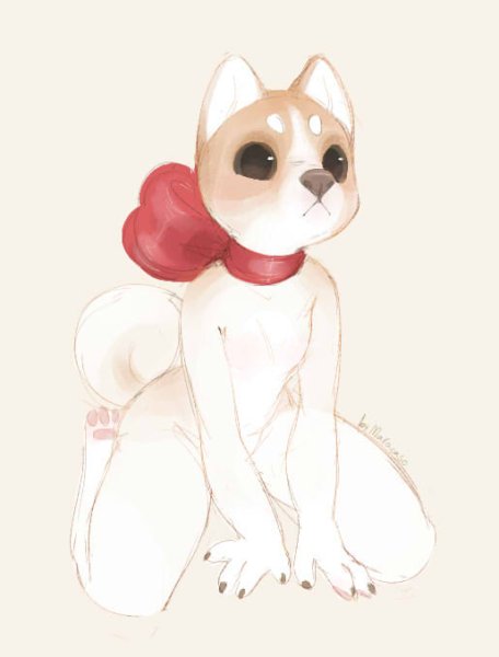 Шпиц хуманизация